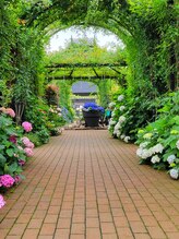 パレシア(PALECIA) SHOKO