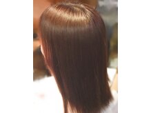 プロット