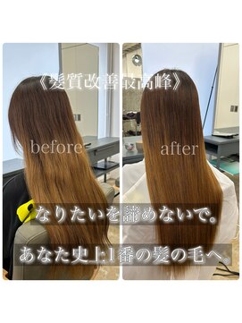ハイダメージ髪質改善縮毛矯正