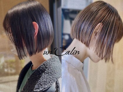 アンカラン(un Calin)の写真