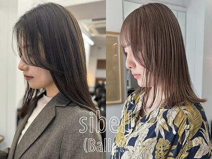 シベルバレー 横浜(sibell)の写真