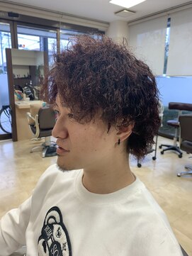 美容室ステラ 東大宮店 Wolf × Twist Perm × Red Color