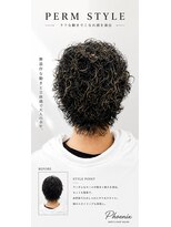 フェニックス(PHOENIX)&nbsp;強めスパイラル