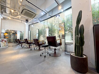 ハーバー(HARBOR)の写真