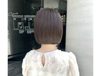 サーカス(circus)の写真