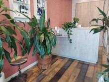 グリーンが多い店内です。