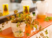 フェリーチェ(Felice)の雰囲気(ゆっくりおくつろぎ下さい…)