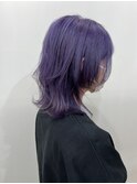 ブルーラベンダー★