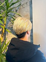 ルシードスタイル プルス(PLUS) ダブルカラー