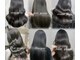 ロロ(ro-ro)の写真