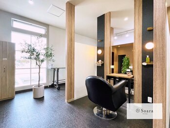 Soara by Cotton 【ソアラ バイ コットン】