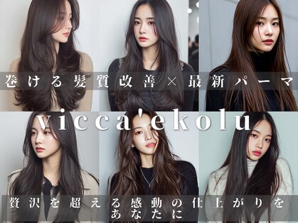 ヴィッカエコル (vicca 'ekolu)の写真