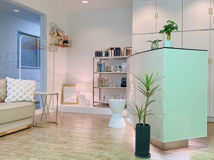 ファミリア(familiar)の写真