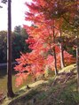 やよい美容室&nbsp;紅葉がきれいだったので思わず一枚♪