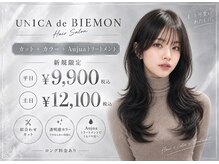 ウニカ デ ビエモン(UN1CA de BIEMON)