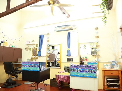 ココア(cocoa)の写真