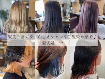髪切処ICHI(カミキリドコロイチ)の写真