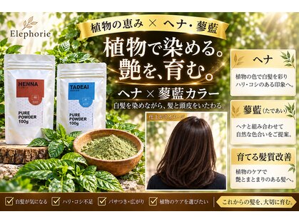 エレフォリー(Elephorie)の写真