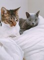 オーク たまプラーザ(OAK) 猫2匹飼ってます☆キキとラビです☆動物大好きです☆