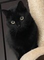ウル(Ulu)&nbsp;愛猫の うに♂ です☆甘えん坊の黒猫5才です^_^