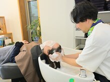 ベロニカの雰囲気（川のせせらぎの様なシャワーの音と心地のよいシャンプー）