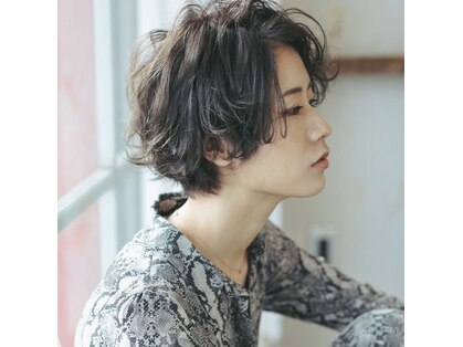 フワ(fuwa)の写真