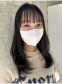 ミディアムレイヤー