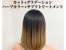 カット＋グラデーションハーブカラー＋サプリトリートメント
