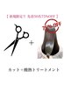 【ご新規限定50名様★酸熱75%OFF】カット+ 髪質改善ケラチントリートメント
