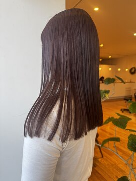 12/20  艶出しパープルカラー 《kiyoka》