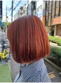 ダブルカラー
