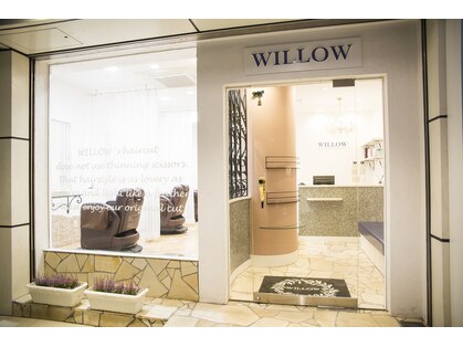 ウィロー(WILLOW)の写真