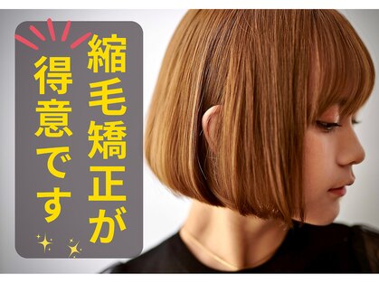 シスタ(CISTA)の写真