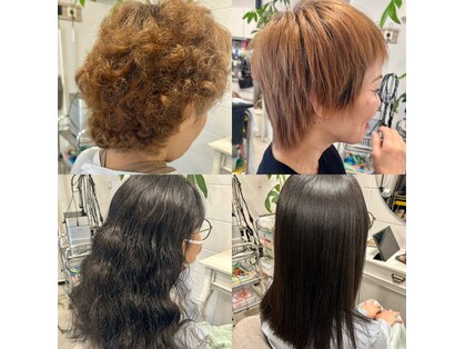 アネラ(anela)の写真