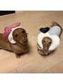 エトワ ル リアン(Et toi Le Lien)&nbsp;カニンヘンダックス/ミニチュアダックス/愛犬