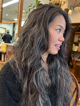 ベル(BELL) シルバーハイライト【BELL桜新町/用賀】