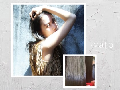 バト(vato)の写真