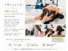 パラッチ 西宮店(Palacchi)