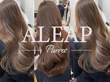 アリープパロット(ALEAP parrot)の写真