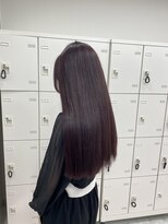 キャンディ 横浜(CANDY) 【RIKU指名限定】ダークラベンダー