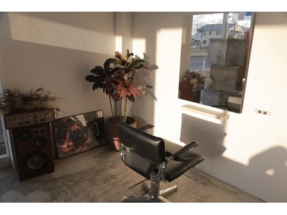 ノーティ(nouty)の写真