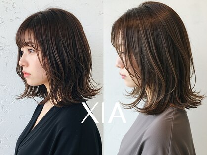 シア(XIA)の写真