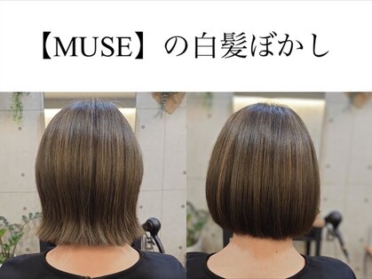 ミューズ 藤が丘店(MUSE)の写真