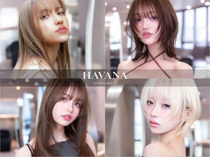 ハバナ 新宿(HAVANA)の写真