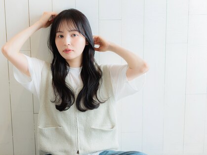 キャリコ(calico)の写真