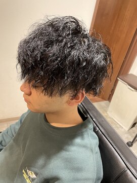 ヘアーシェルターフォーメン(Hair Shelter for men) ツイスパセンターパート