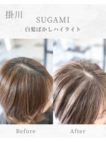 スガミ(SUGAMI)&nbsp;白髪ぼかしハイライト/脱白髪染め