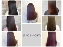 ブロッサム 鶴瀬店(Blossom)