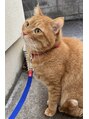 リミュー バイ イフ(lmu by if) 猫が好きです^^沢山お話しましょう