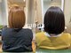 カンナ(canna)の写真
